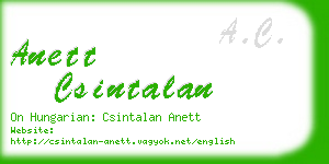 anett csintalan business card